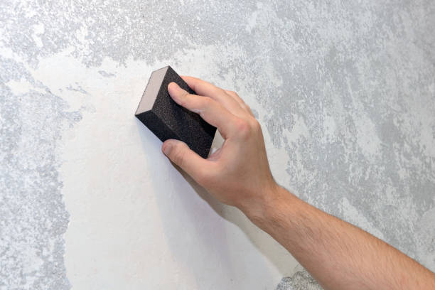 Best Real Estate Mold Inspection  in Crown Heights, NY