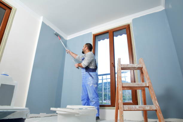 Best Mold Damage Restoration  in Crown Heights, NY