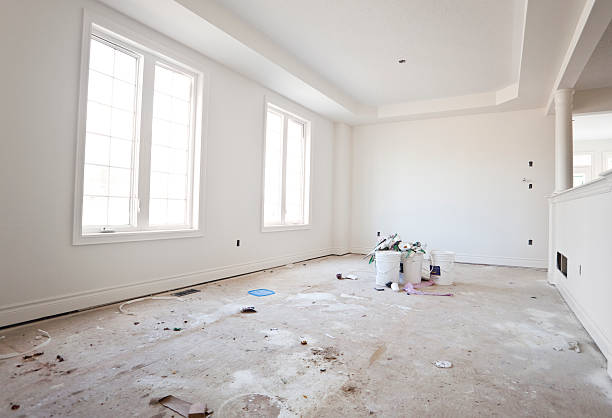 Trusted Crown Heights, NY Mold Removal Experts